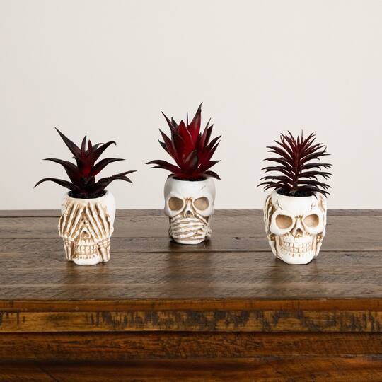 6" Artificial Halloween Speak, Hear, See No Evil Succulent Plant Skull Décor Set